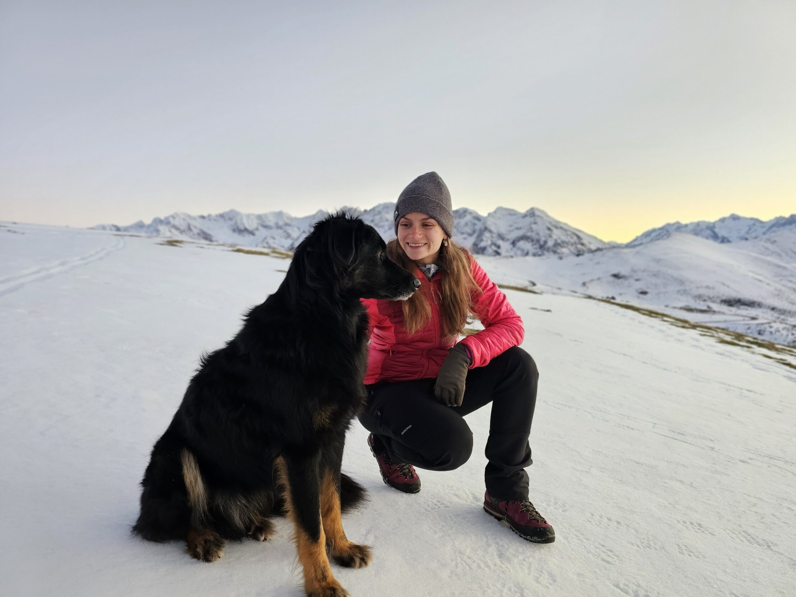 A propos d’Alicia : Sport, nature et vie avec son chien – La trace et la truffe